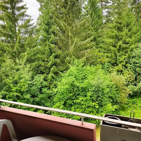 Bollenhut Superior Apartment Lenzkirch